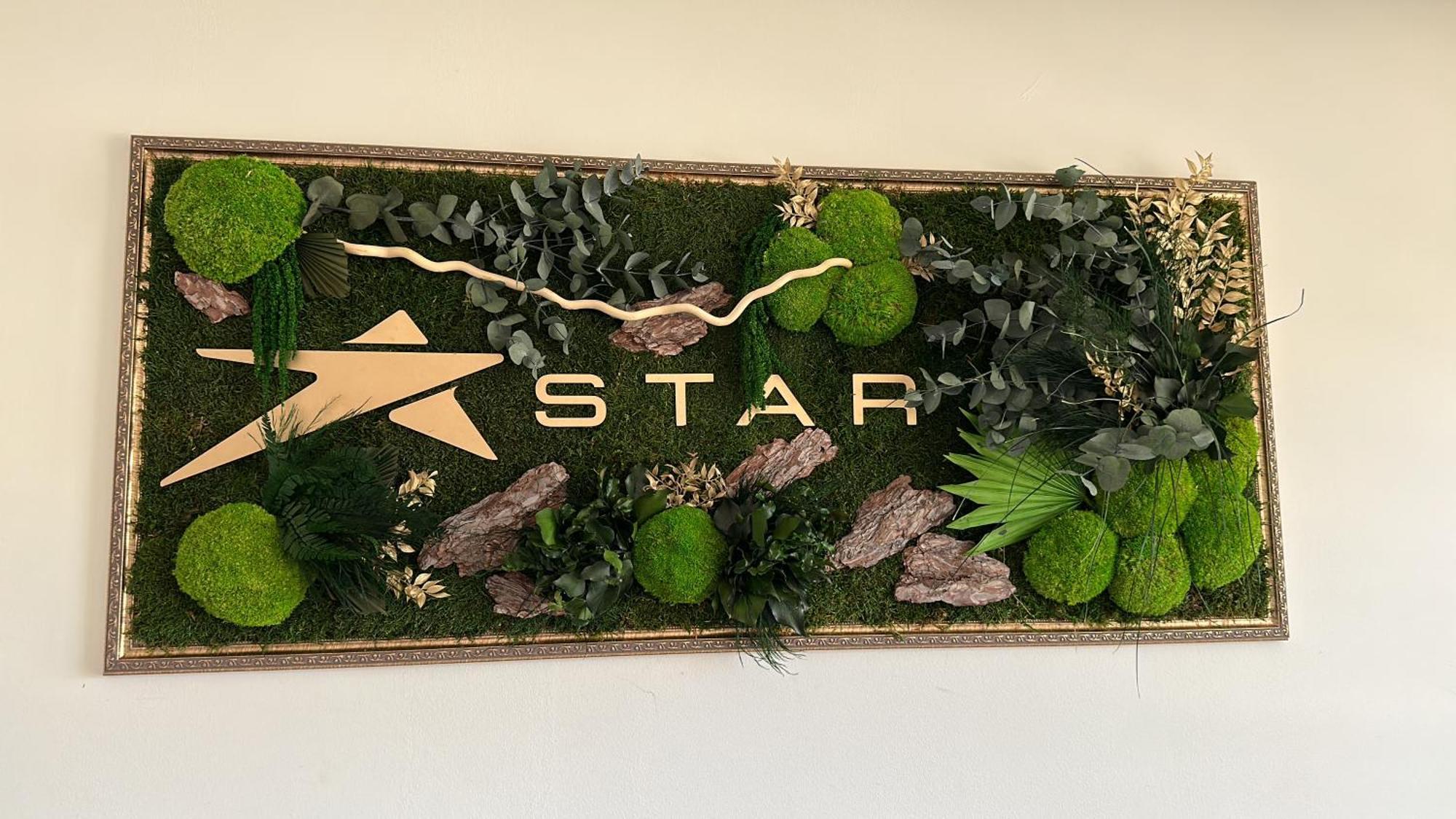 Star Hotel Tulcea Eksteriør billede